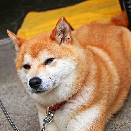 Hounkan Yoshino  Zewnętrze zdjęcie